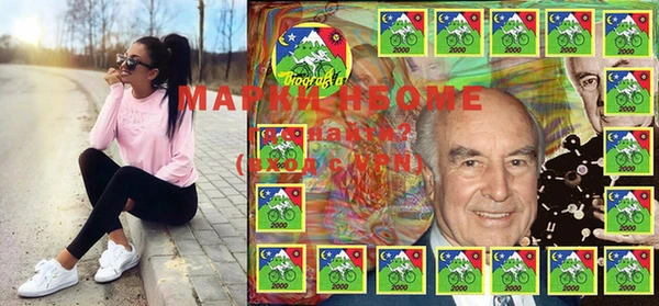 гашик Щучье