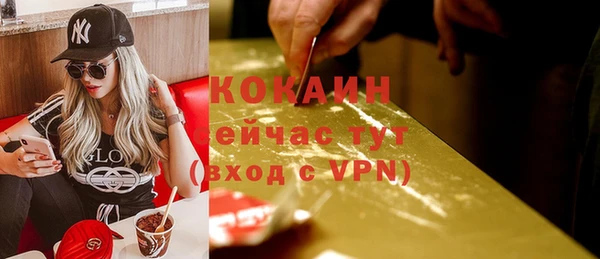 мдпв Щёлкино