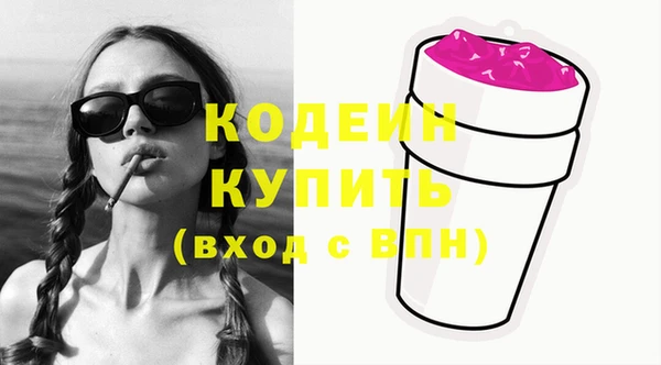 гашик Щучье