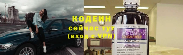 прущие грибы Яровое
