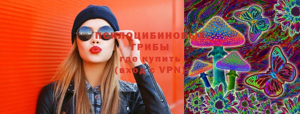 гашик Щучье
