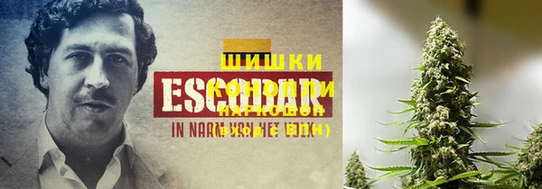 гашик Щучье