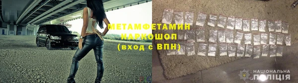 прущие грибы Яровое