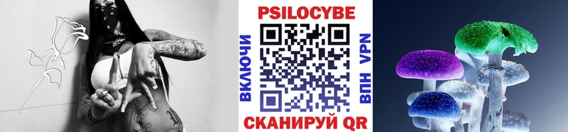 Галлюциногенные грибы Psilocybine cubensis  где найти   Невинномысск 